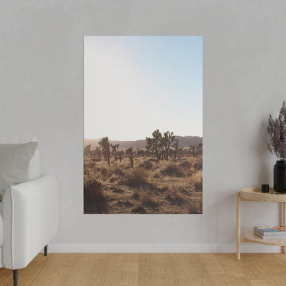 Joshua Tree, Canvas Stretched 0.75"