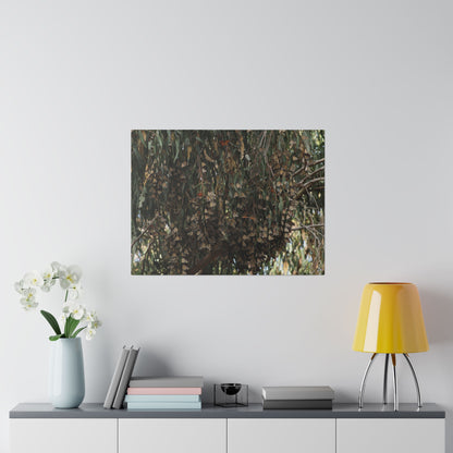 A Roost of Clustered Monarch Butterflies on Canvas, Stretched, 0.75"