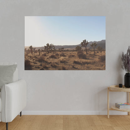 Joshua Tree, Canvas Stretched 0.75"