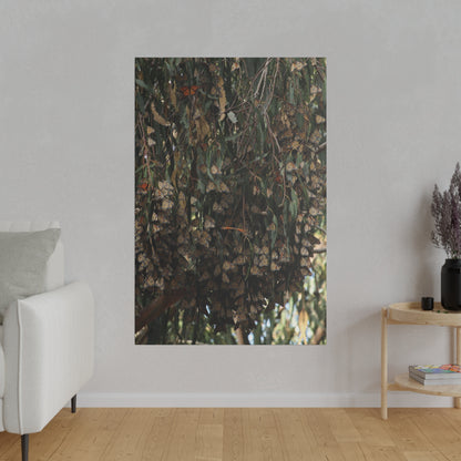 A Roost of Clustered Monarch Butterflies on Canvas, Stretched, 0.75"